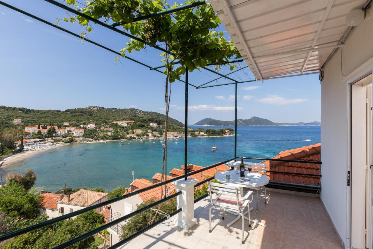 Apartments Miskovic Donje Celo Rom bilde